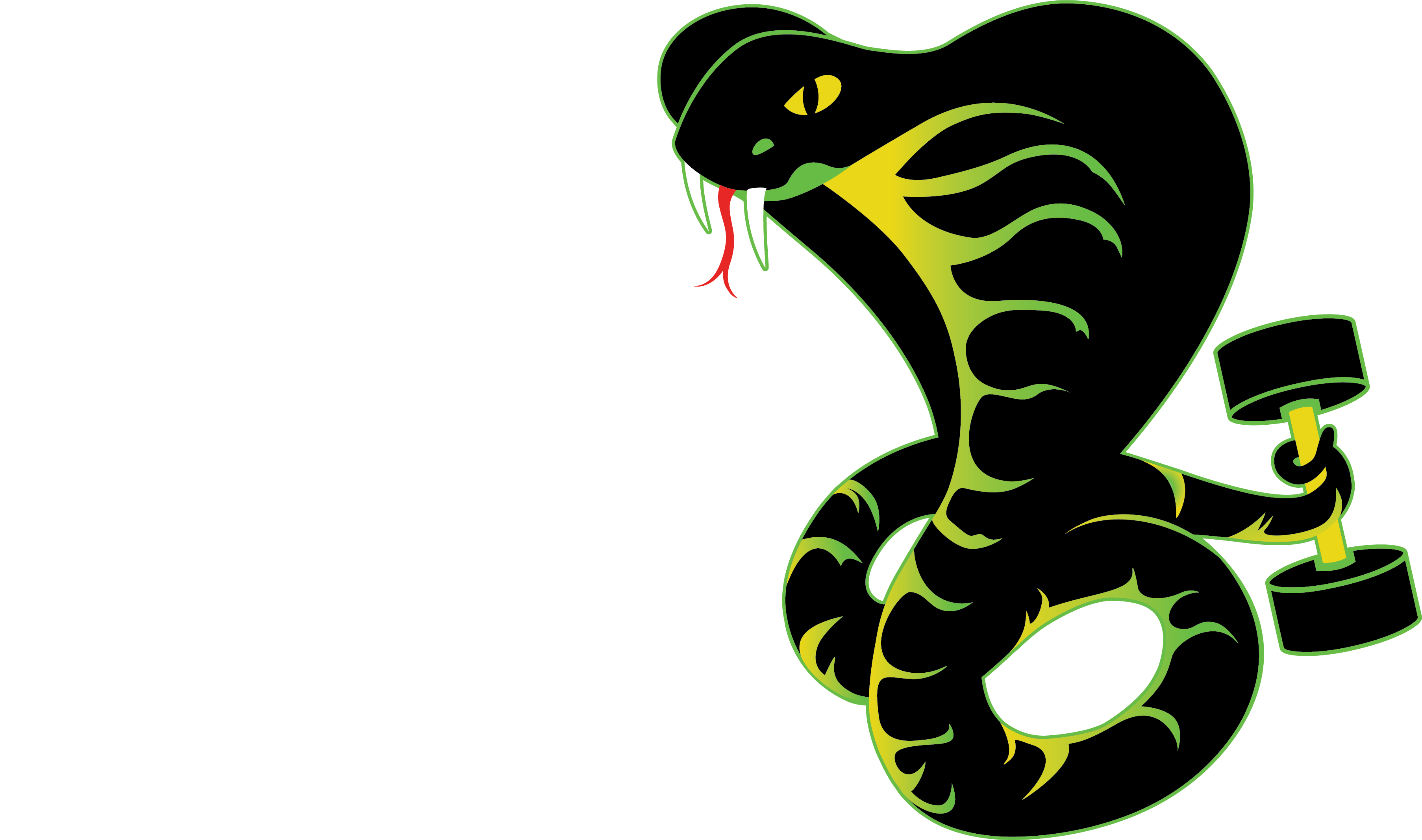 Local Cobra LLC